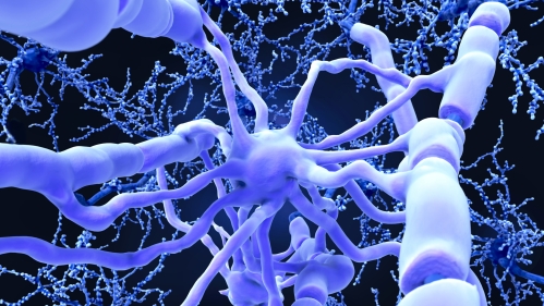 New Treatments for Neurological-based Diseases