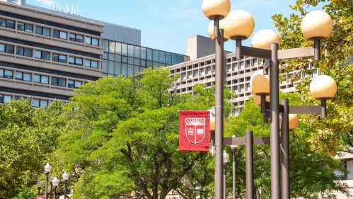 The courtyard with trees and flags outside the Newark health campus