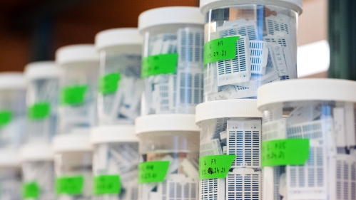 Clear jars are stacked on a shelf in a lab