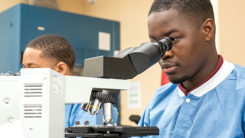 A health professions student looks into a microscope