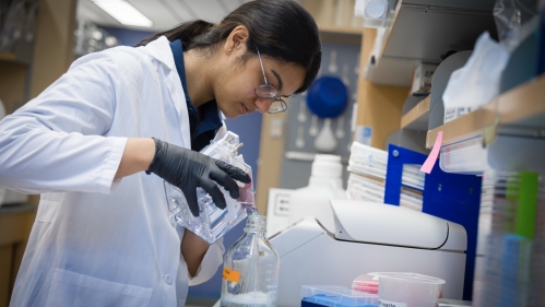 A researcher pours liquid into a container in a Rutgers lab