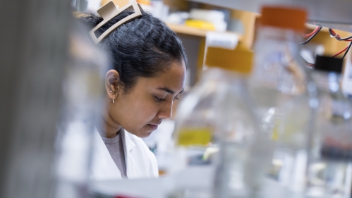 A researcher works at a bench. Glass bottles are seen in the foreground.