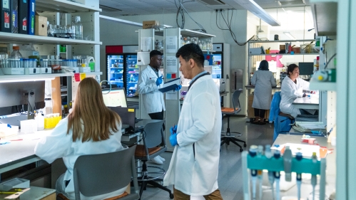 Asthma researchers work in a lab at Rutgers.