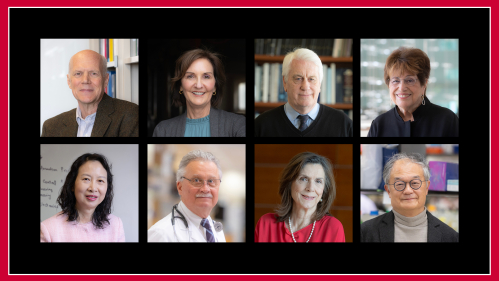 Photos of Rutgers eight AAAS Fellows 