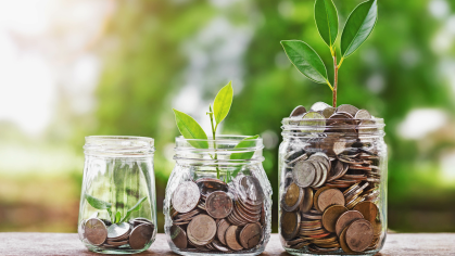Coins in glass jar with plant growing inside. Investment financial concept and green nature sunlight