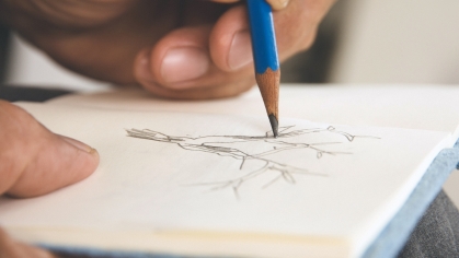 A closeup photo of a person's hand holding a pencil while sketching tree branches on a notebook