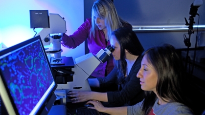 Pharmacy school researchers look at a computer screen