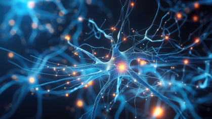 Brain Synapses