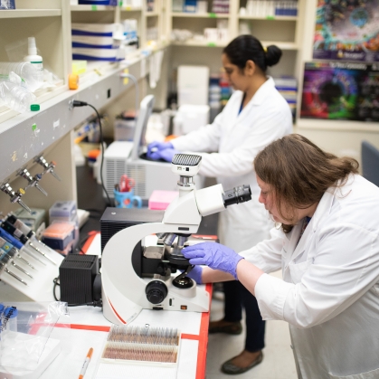 Graduate researchers work in a lab
