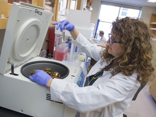 Research specialist looks at a specimen