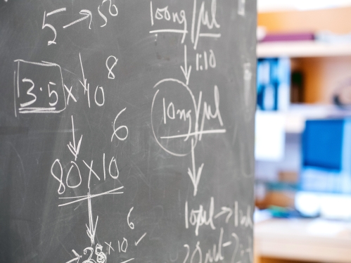 Calculations written on a chalkboard in a lab