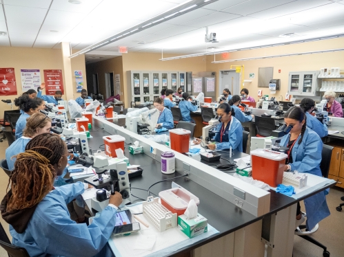 Health professions students learning in a lab