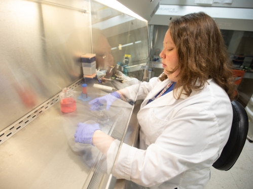 A researcher works at a bench in a lab