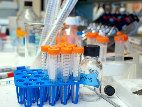 Vials and bottles sit on a table in a research lab
