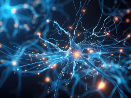 Brain Synapses