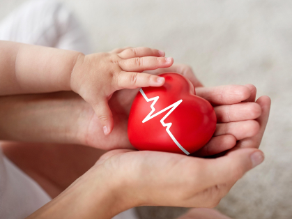 Heart held in hands