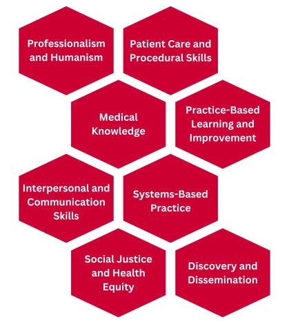 A cluster of hexagons showing the 8 core competencies of the future school of medicine: Professionalism and Humanism, Patient Care and Procedural Skills,  Medical Knowledge,  Practice-Based Learning and Improvement , Interpersonal and Communication Skills,  Systems-Based Practice,  Social Justice and Health Equity , and Discovery and Dissemination.