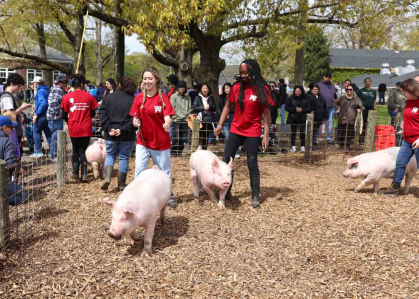 There will be animal handling and fitting shows of pigs, cattle, sheep, goats and horses at the Red Barn on College Farm Road.