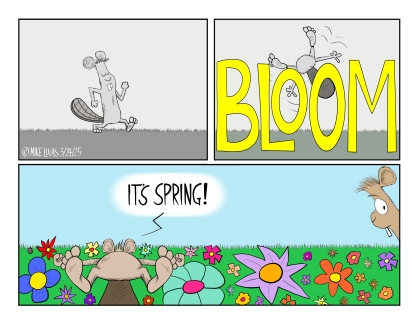 Spring Allergies