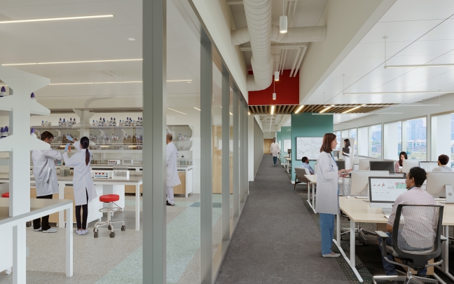 Rendering of renovated lab corridor