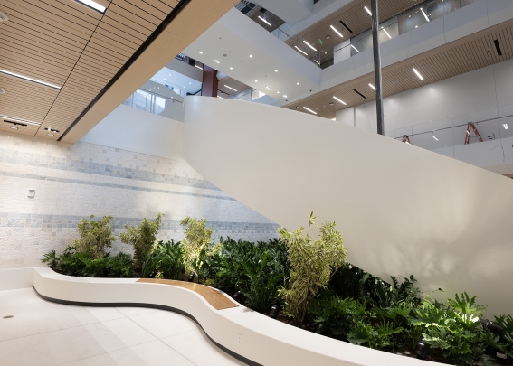Jack & Sheryl Morris Cancer Center
